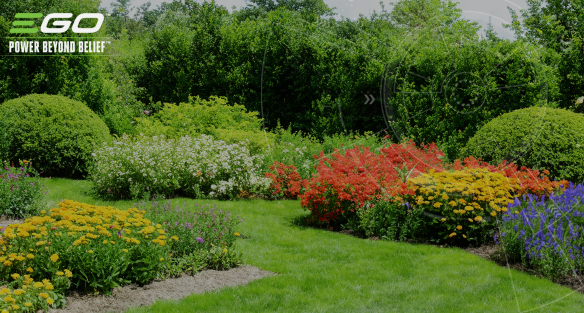 VERWANDELN SIE IHREN GARTEN IN EINEN CO₂-SPEICHER