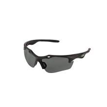 GS002 Schutzbrille - Grau